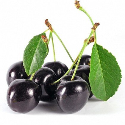 Черешня черная