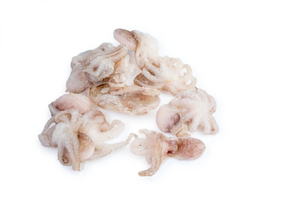 Осьминоги молодые с/м очищ 40/60 1/500