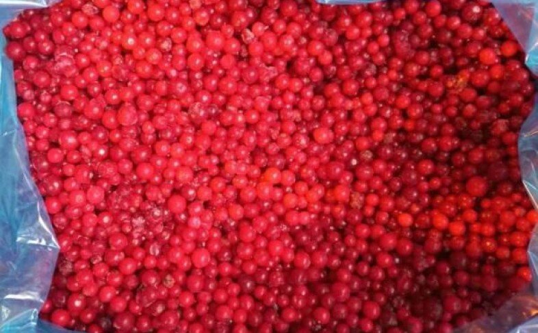 СМОРОДИНА КРАСНАЯ