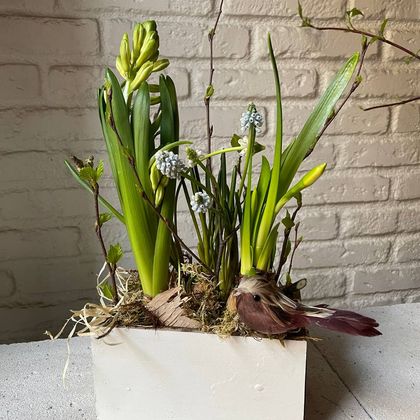 Композиция с первоцветами