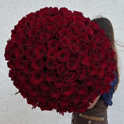 Роза красная (60-70см), 15шт