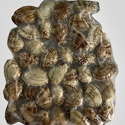 Клемы Вонголе в/м 500 гр