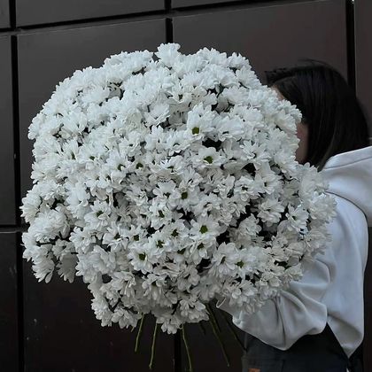 Хризантема кустовая белая *9шт