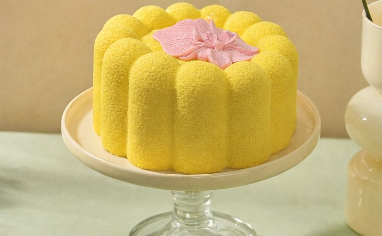 Муссовый бенто торт Вишня-боб