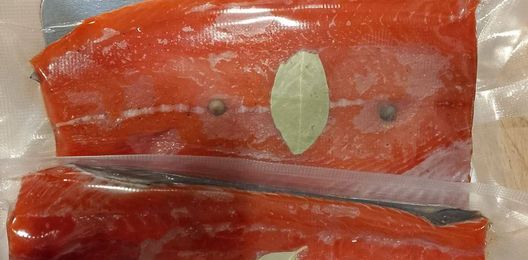 НЕРКА ПОЛУПЛАСТЫ