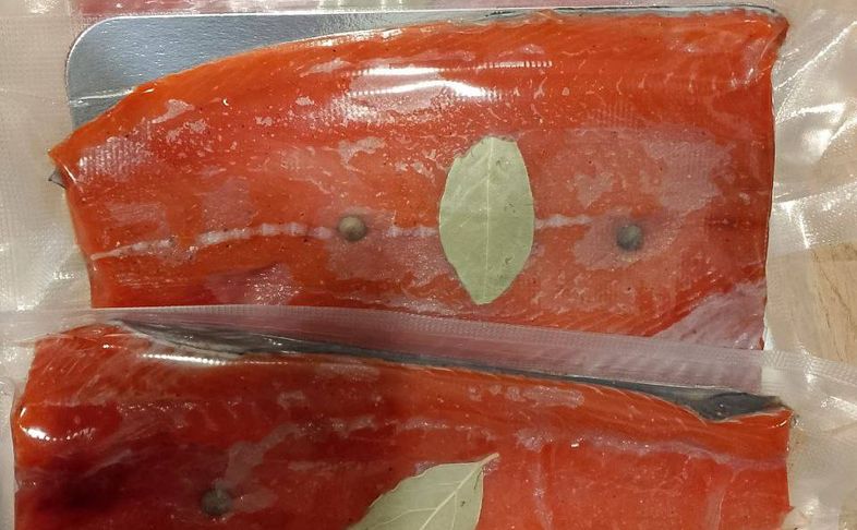 НЕРКА ПОЛУПЛАСТЫ