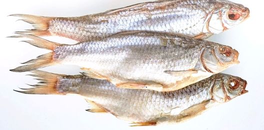 Вобла вяленая вес (Астрахань )