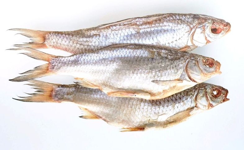 Вобла вяленая вес (Астрахань )