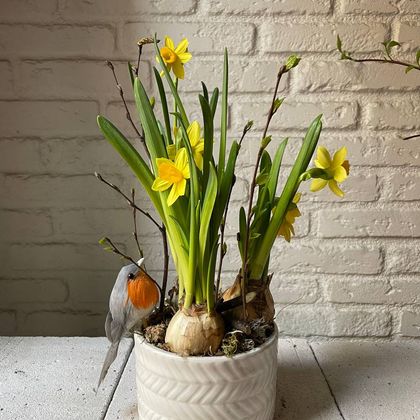 Нарциссы в керамике