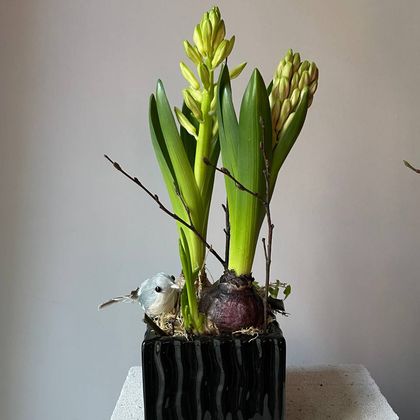 Композиция в черной керамике