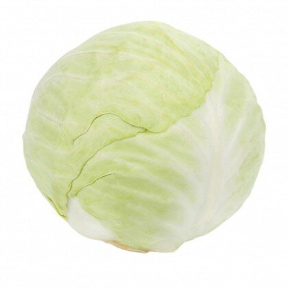 Капуста белокочанная