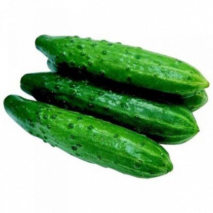 Огурцы Белая дача