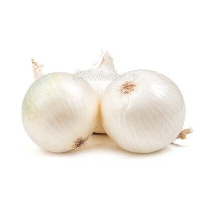 Лук белый репчатый