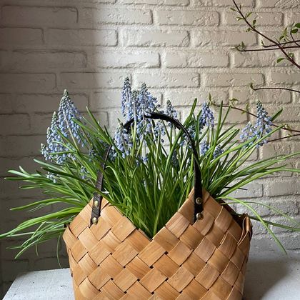 Мускари в корзинке