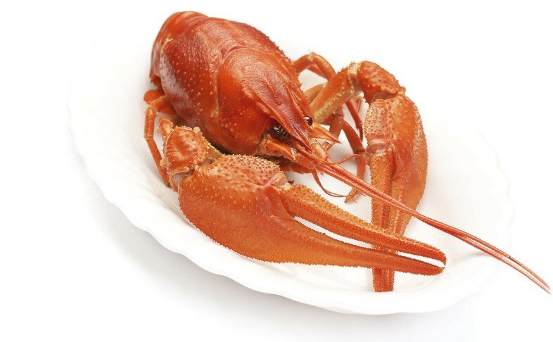 Раки ВОЛЖСКИЕ(дикие), Вареные в рассоле. XXXL
9-12 шт на 1 кг
Самые вкусные
Без ГМО
Особенный, секретный рецепт варки
95 ккал