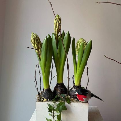 Композиция в ящике