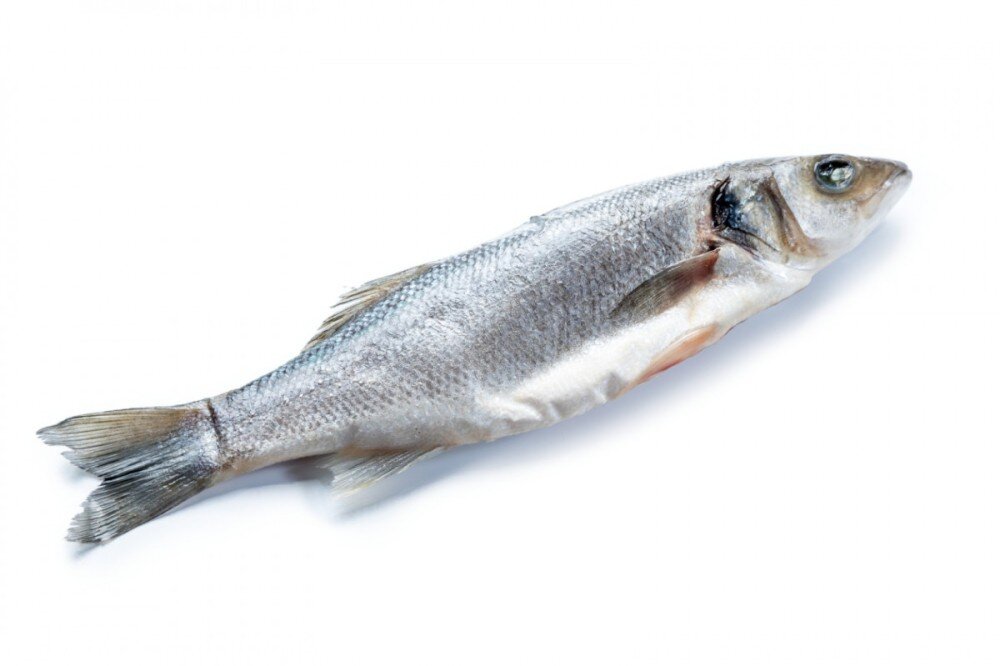 Сибас чищеный и потрошеный, кг