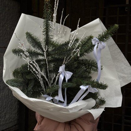 Зимняя охапка с нобилисом "Рождественский вальс"