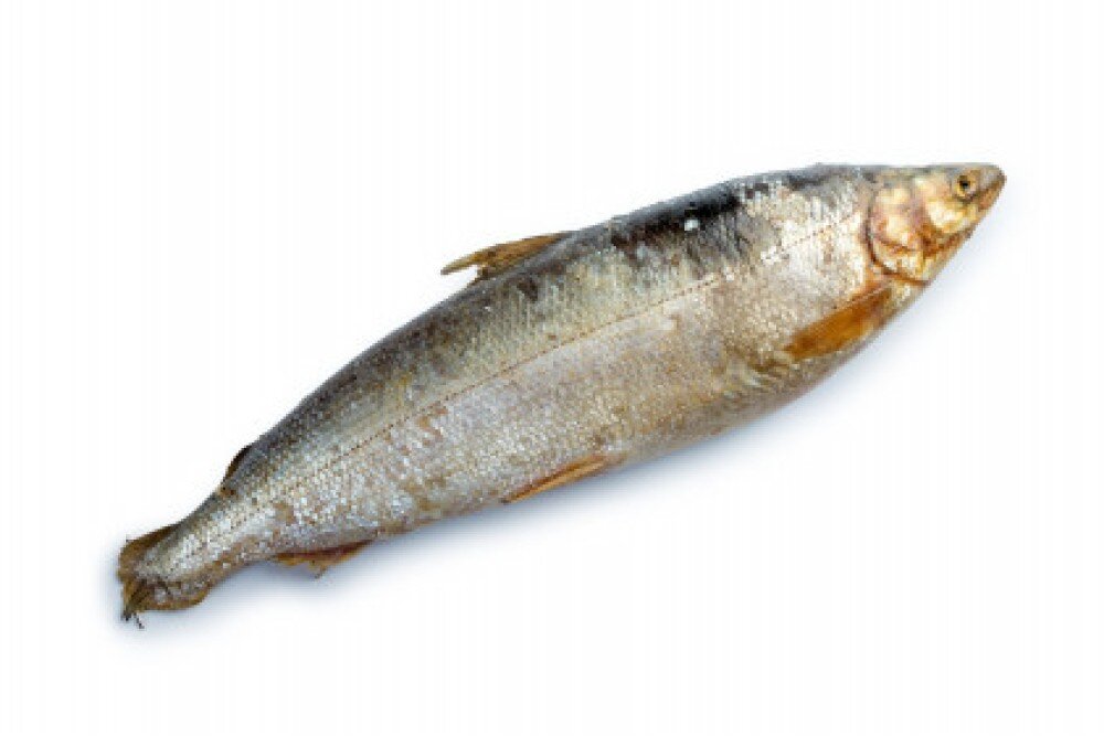 Омуль свежемороженый, кг