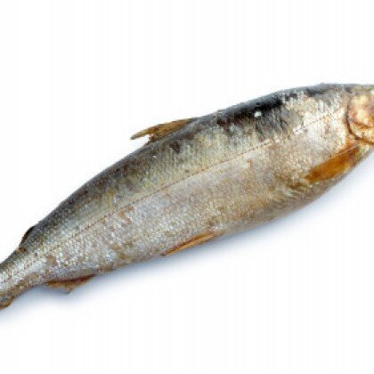 Омуль свежемороженый, кг