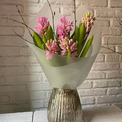 Гиацинты розовые