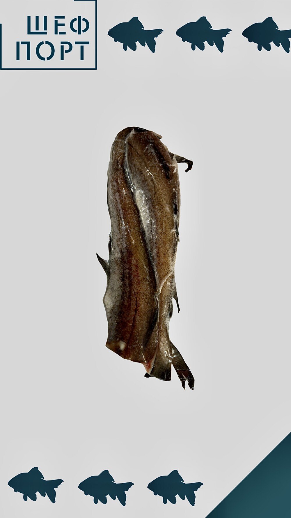 Минтай 35+ свежемороженый, кг