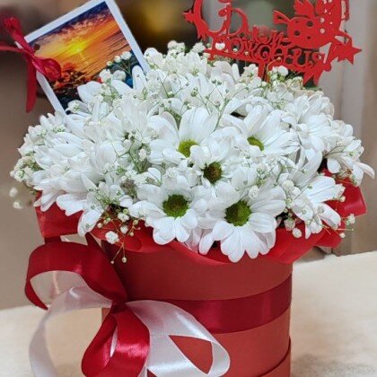 Композиция "Ромашки" Цвет цветов на момент оформление заказа