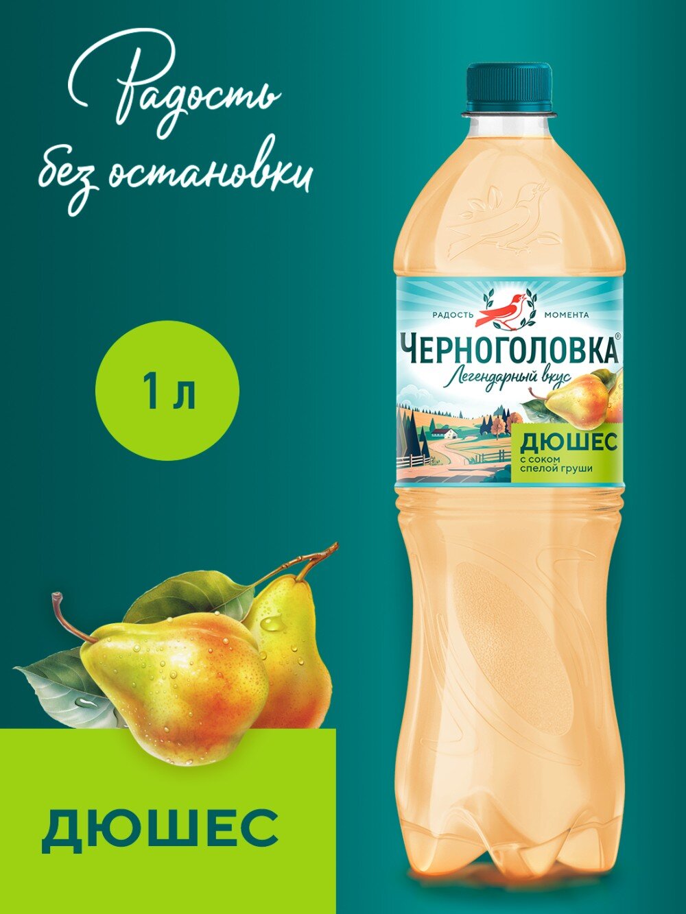 Черноголовка дюшес