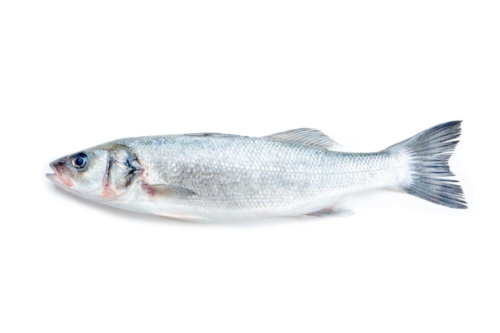 Сибас свежемороженый, кг