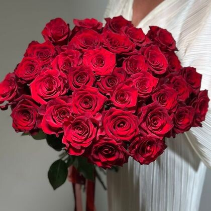 Роза красная 25шт
