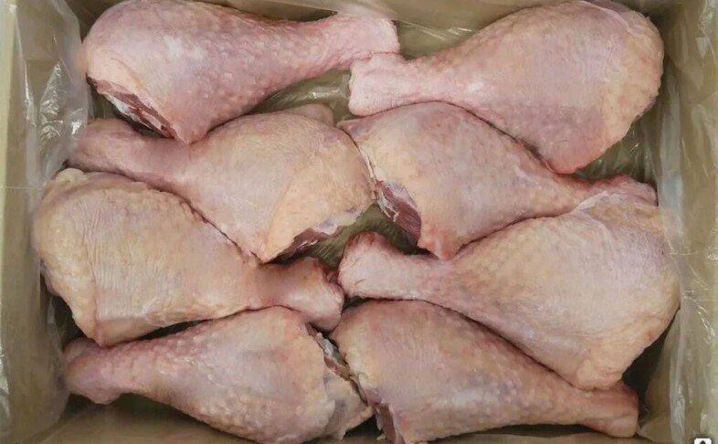 ГОЛЕНЬ ИНДЕЙКИ