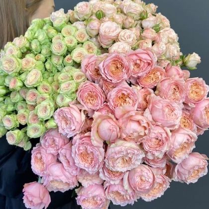 Роза кустовая *25шт